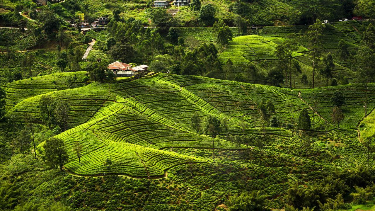 Kirula Green Hotel  Nuwara Eliya Exterior foto