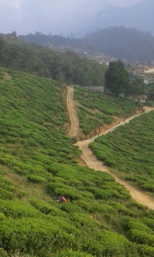 Kirula Green Hotel  Nuwara Eliya Exterior foto